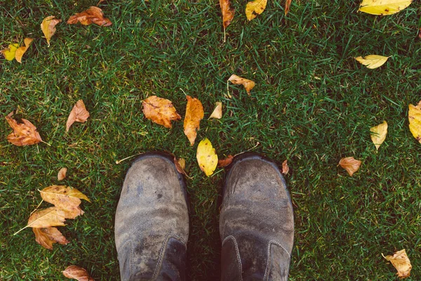 Gardener Work Boots Stepping Idyllic Autumn Backyard Lots Golden Red — Stock Photo, Image