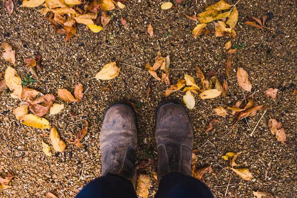 Botas Trabajo Del Jardinero Pisando Idílico Patio Trasero Otoño Con — Foto de Stock