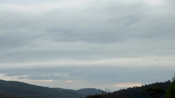 Timelapse Tjocka Moln Rullar Förbi Över Bergen Tasmanien Australien Mulen — Stockvideo