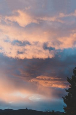 Tazmanya, Avustralya 'da çekilen pembe ve altın tonlarıyla güzel, yoğun günbatımı gökyüzü ve ağaçlar.