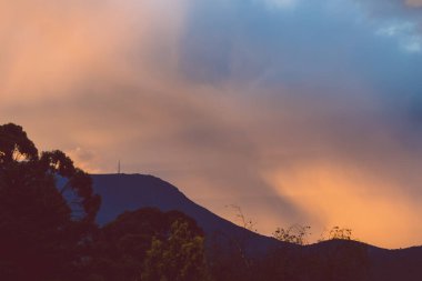 Tazmanya, Avustralya 'da çekilen pembe ve altın tonlarıyla güzel, yoğun günbatımı gökyüzü ve ağaçlar.