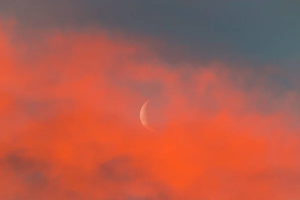 Ημισέληνο Φωτεινό Ροζ Ηλιοβασίλεμα Ουρανό Πυροβόλησε Στην Τασμανία Αυστραλία — Φωτογραφία Αρχείου