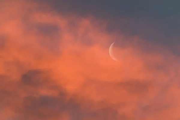 오스트레일리아 태즈메이니아에서 촬영된 분홍빛 하늘에 초승달 — 스톡 사진