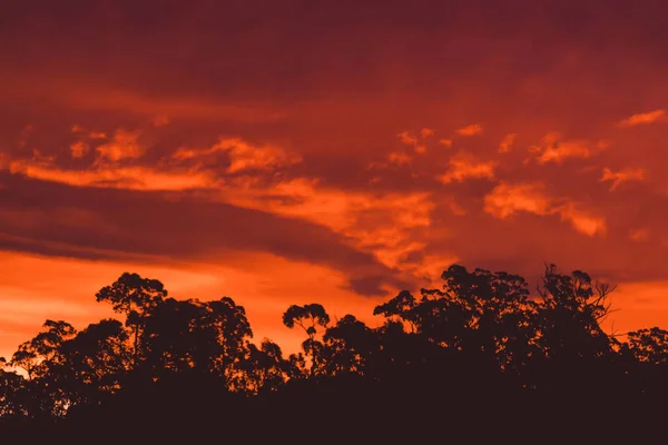 Beau Ciel Intense Coucher Soleil Avec Des Tons Roses Dorés — Photo