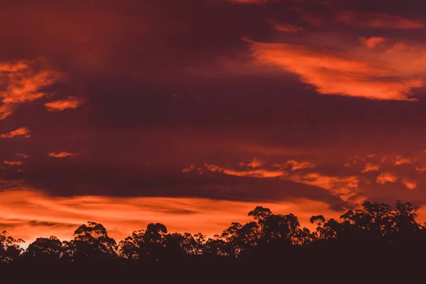 Beau Ciel Intense Coucher Soleil Avec Des Tons Roses Dorés — Photo