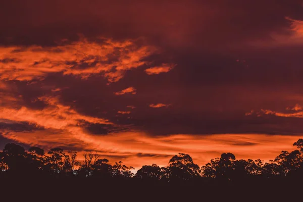 Hermoso Cielo Intenso Atardecer Con Tonos Rosados Dorados Sobre Las — Foto de Stock