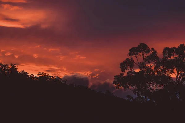 Гарне Сонячне Небо Рожевими Золотими Тонами Над Горами Деревами Евкаліптів — стокове фото