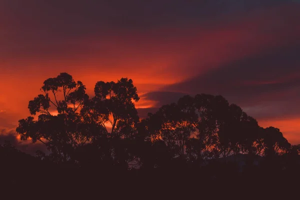 Güzel Yoğun Günbatımı Gökyüzü Dağların Üzerinde Pembe Altın Renkler Tazmanya — Stok fotoğraf