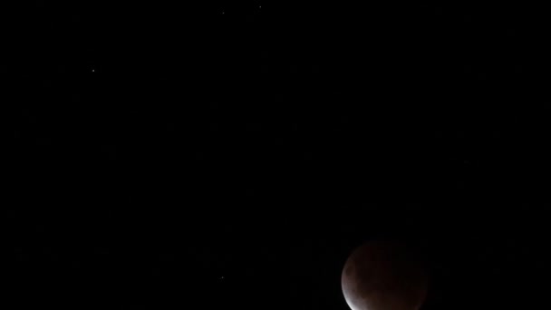 Eclipse Lunar Lapso Tiempo Luna Sangre Desde Tasmania Mayo 2021 — Vídeo de stock