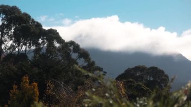 timelpase of day passing by and clouds rolling over the mountains and thick vegetation shot in Tasmania, Australia in winter