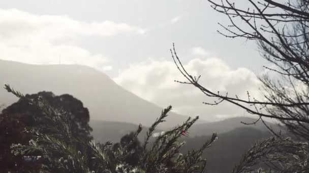 Timelpase Dia Passando Nuvens Rolando Sobre Montanhas Vegetação Espessa Tiro — Vídeo de Stock