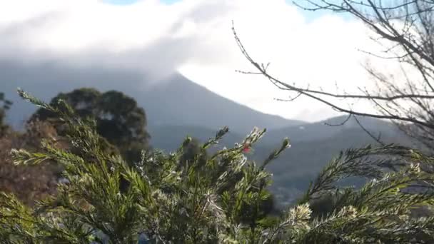 Timelpase Day Passing Clouds Rolling Mountains Thick Vegetation Shot Tasmania — Vídeos de Stock
