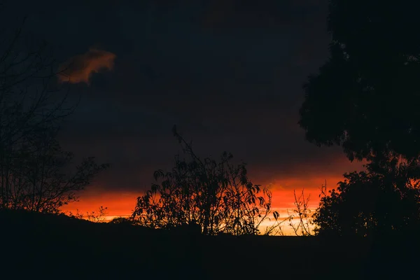 Intensiver Sonnenaufgang Mit Wolken Über Den Bergen Und Dichter Vegetation — Stockfoto
