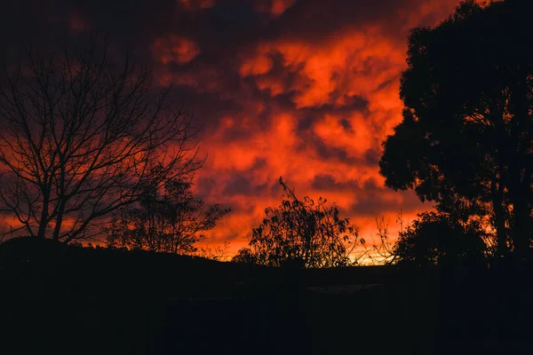 Intensiver Sonnenaufgang Mit Wolken Über Den Bergen Und Dichter Vegetation — Stockfoto