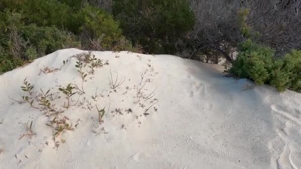 Vid Orörd Strand Marion Bay Södra Tasmanien Australien Med Blå — Stockvideo