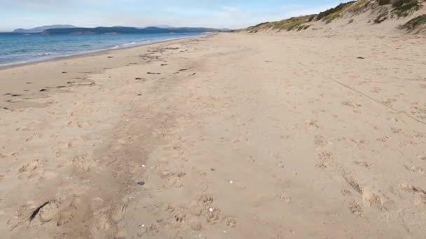 Ampia Spiaggia Incontaminata Marion Bay Nella Tasmania Meridionale Australia Con — Video Stock