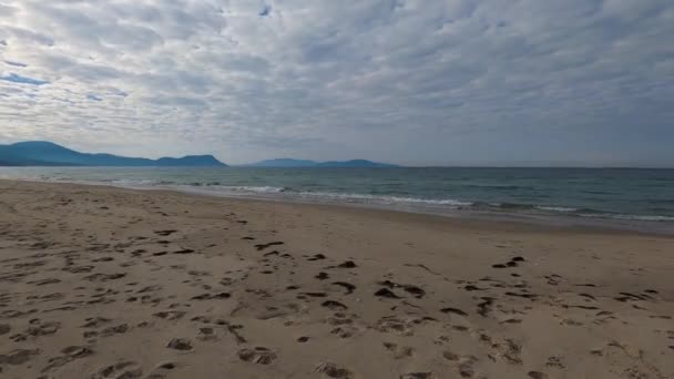 오스트레일리아의 사우터 태즈메이니아에 메리온 원시적 해변에는 태평양의 파도와 채식으로 황금색 — 비디오