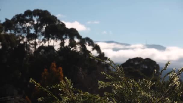 Timelapse Dnia Mijającego Chmury Toczące Się Nad Górami Gęsta Roślinność — Wideo stockowe