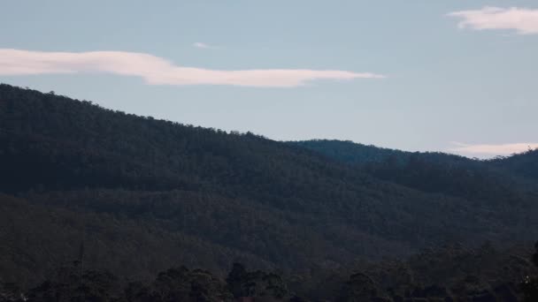 冬にオーストラリアのタスマニアで撮影された山と厚い植生を覆うふわふわの雲と穏やかな青い空をタイムラプス — ストック動画