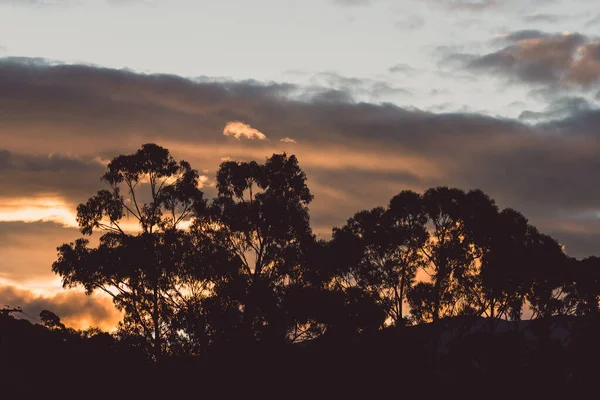 Himmel Bei Sonnenuntergang Mit Rosa Und Orangen Wolken Über Den — Stockfoto