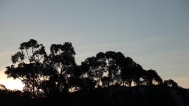 timelapse of dusk and sunset with clouds over the mountains with eucalyptus gum trees in the foreground shot in Tasmania, Australia in winter