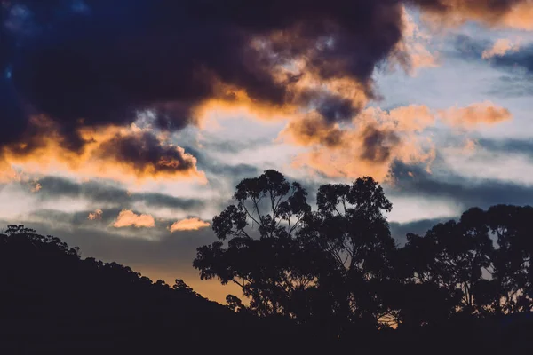 Захід Сонця Пурпуровими Рожевими Тонами Над Пагорбами Деревами Евкаліптів Вирізаними — стокове фото