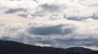 Günün zamanı geçiyor ve bulutlar dağların üzerinden yuvarlanıyor ve kışın Tazmanya, Avustralya 'da yoğun bitki örtüsü vuruyor.