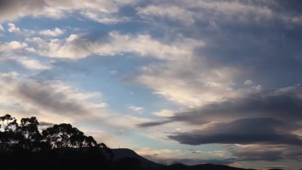 雲が形成され オーストラリアのタスマニアで冬に撮影された前景にユーカリの木と夕日の空を渡って行く時間の経過 — ストック動画