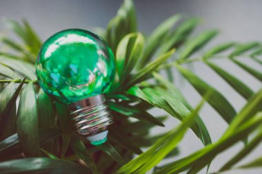 Yeşil ekonomi ve çevrenin kavramsal görüntüsü için fikirler, yeşil ampul fikri, kapalı alandaki yemyeşil palmiye, sığ alan derinliğindeki küçük demlikte.