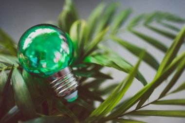 Yeşil ekonomi ve çevrenin kavramsal görüntüsü için fikirler, yeşil ampul fikri, kapalı alandaki yemyeşil palmiye, sığ alan derinliğindeki küçük demlikte.