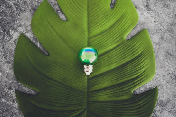 green economy and ideas for the environment conceptual image, green light bulb idea on top of lush tropical leaf on grey background