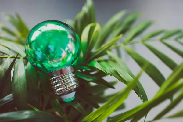 green economy and ideas for the environment conceptual image, green light bulb idea on top of lush parlour palm indoor in tiny pot shot at shallow depth of field