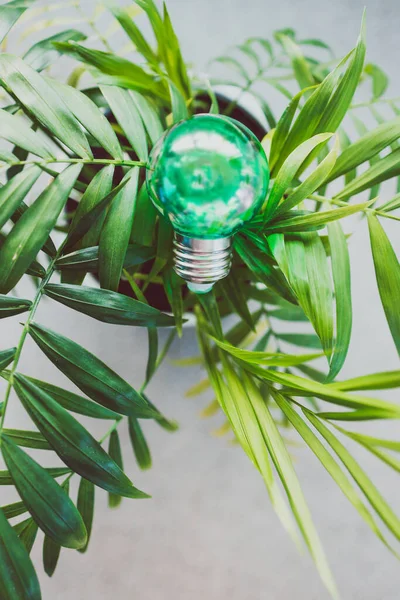 Économie Verte Idées Pour Environnement Image Conceptuelle Idée Ampoule Verte — Photo