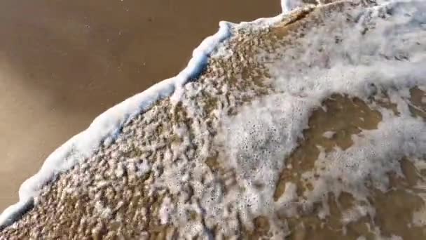 Pacifische Oceaan Water Raakt Zandstranden Slow Motion Geschoten Tasmanië Australië — Stockvideo