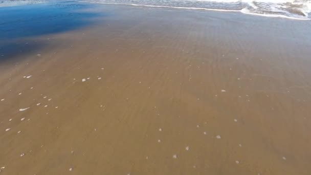 Pacific Ocean Water Hitting Sandy Shores Slow Motion Shot Tasmania — Stock Video