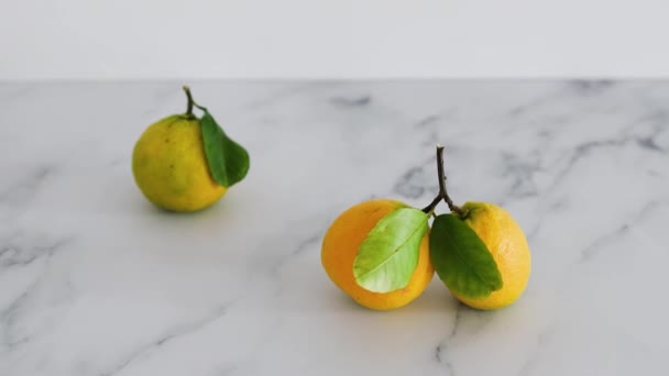 Frisch Gepflückte Zitronen Mit Blättern Auf Weißem Hintergrund Aufgenommen Geringer — Stockvideo