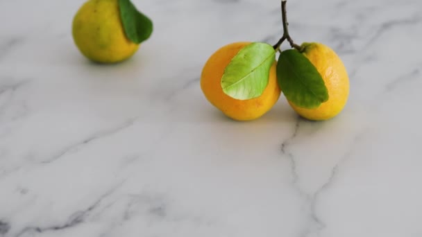 Beyaz Arka Planda Yaprakları Olan Yeni Toplanmış Limonlar Sığ Sağlıklı — Stok video