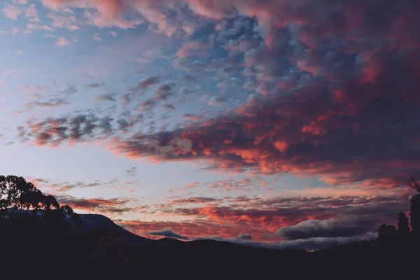 Величний Рожевий Захід Сонця Над Горами Евкаліптовими Деревами Силуетами Вистріленими — стокове фото