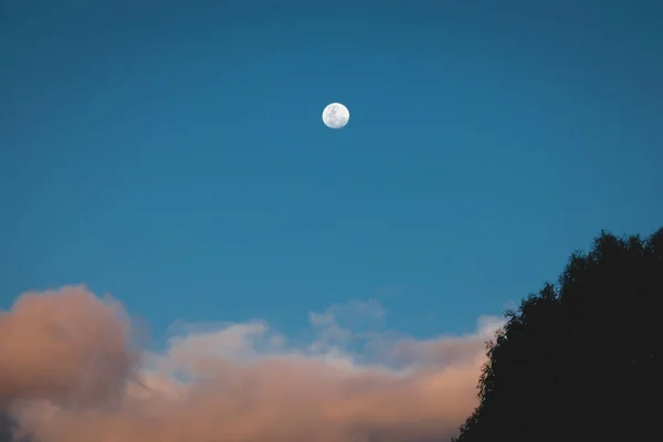 Fullmåne Med Rosa Fluffiga Moln Det Den Blå Himlen Vid — Stockfoto