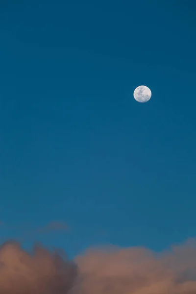 オーストラリアのタスマニアで撮影された夕暮れ時に青い空の下にピンクのふわふわの雲がある満月 — ストック写真