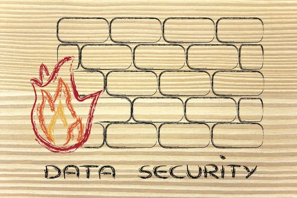 Design de firewall engraçado e segurança na Internet — Fotografia de Stock