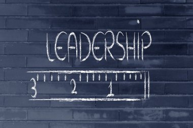 Liderliğin ölçmek