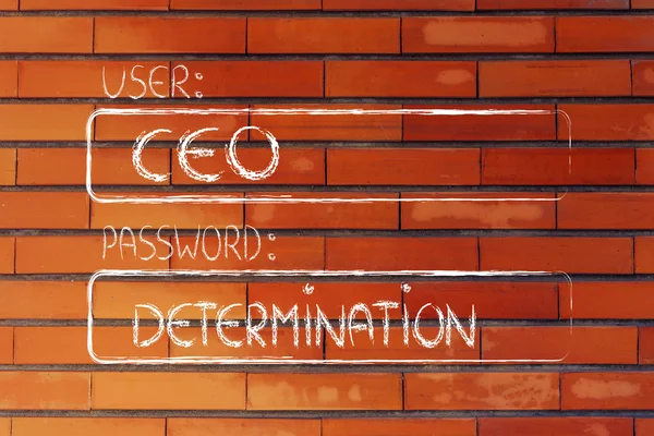 User CEO, password Determination — Stock Photo, Image