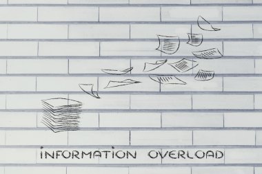 bilgi ve veri yüklemesi, organizasyon bilgi ve iş