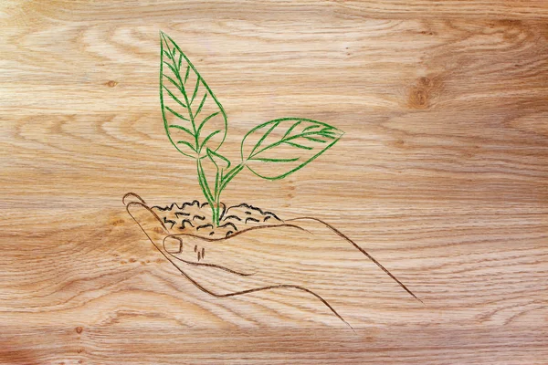Concepto de economía verde, manos sosteniendo nueva planta — Foto de Stock