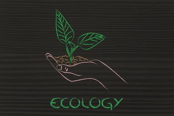 Concept of green economy, hands holding new plant — Stock Photo, Image