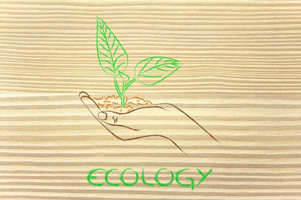 Concept of green economy, hands holding new plant — Stock Photo, Image