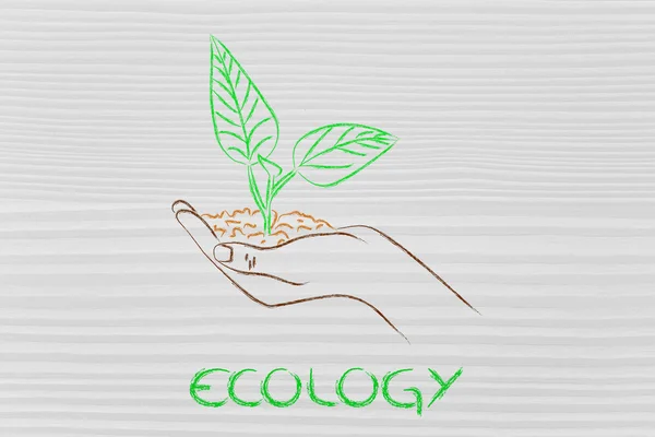 Conceito de economia verde, mãos segurando nova planta — Fotografia de Stock