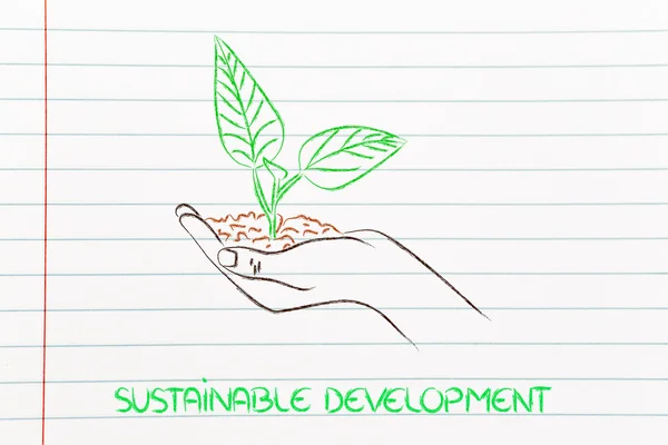 Concepto de economía verde, manos sosteniendo nueva planta — Foto de Stock