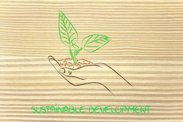 Concept of green economy, hands holding new plant — Stock Photo, Image